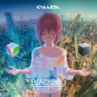 Blackbird