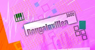 Bougainvillea