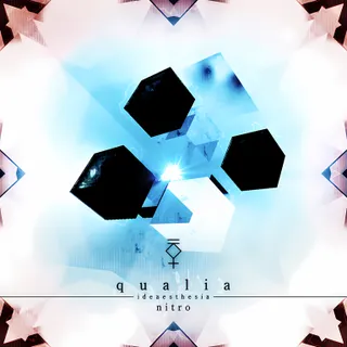 qualia -ideaesthesia-