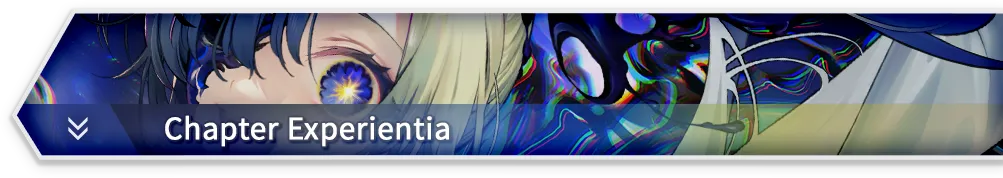 Chapter Experientia