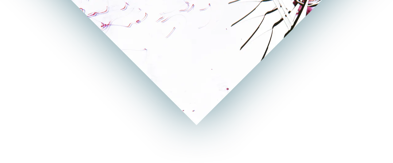 diamond ts light