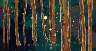 Miracle Forest (VIP Mix)