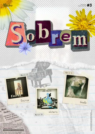 T.S. #3 — Sobrem