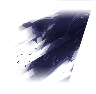 对立