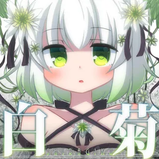白菊 -shiragiku-