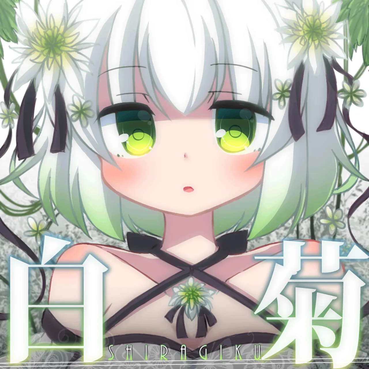 shiragiku